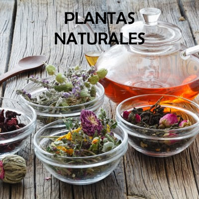 Plantas Naturales
